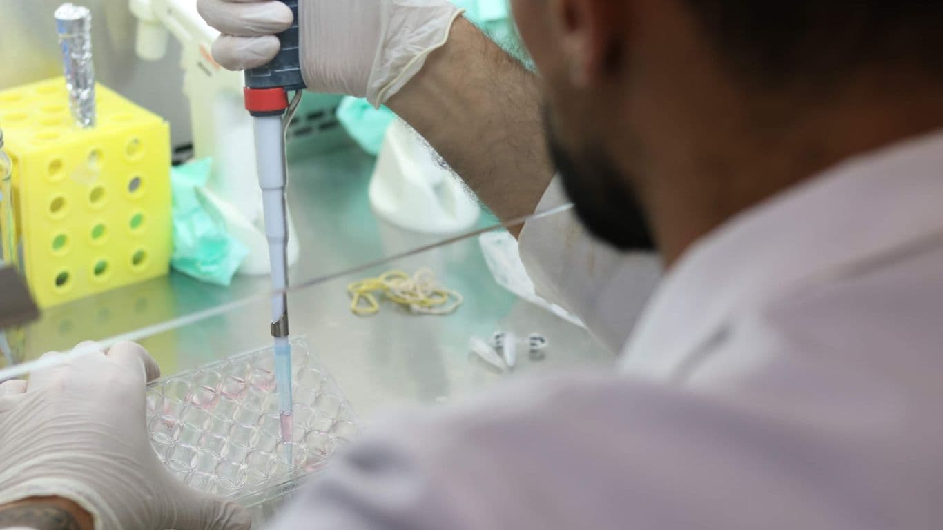 Pesquisa em laboratório
